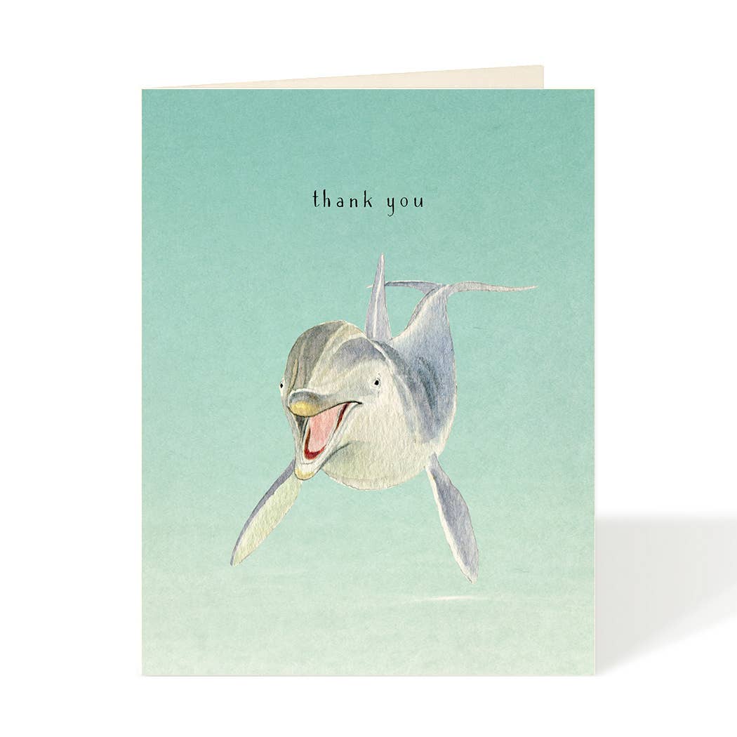 Hello Dolphin - Thank You Card