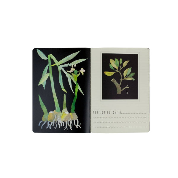 Flora Notebook