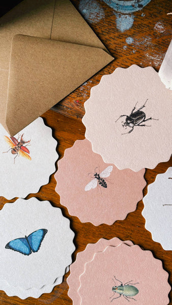 Coaster Set Insects Set of 10 🐞🐝🪲