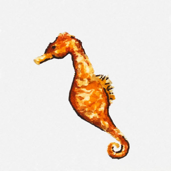 Mini 1" Seahorse Animal Tiny Watercolor Painting Art Print