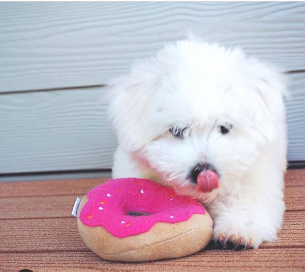 Squeaky Dog Donuts $14