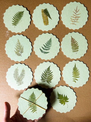 Coaster Set Ferns 🌿🌱🌿