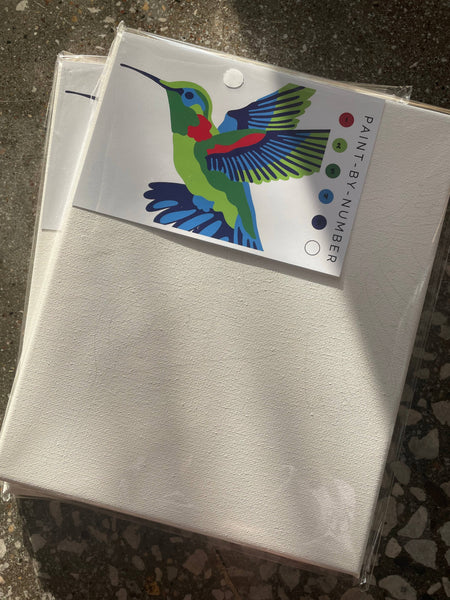Hummingbird Paint-By-Number
