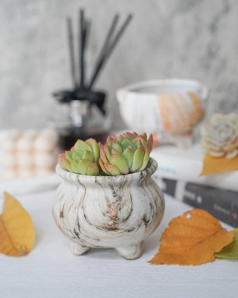Marble Patterned Pot