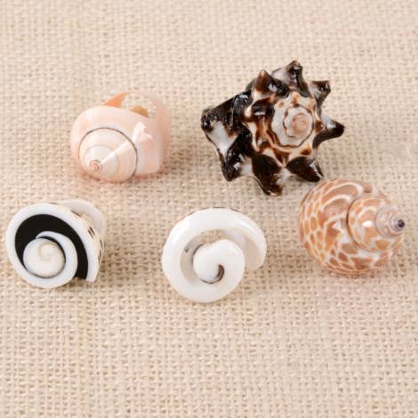 Seashell Ring $9.00