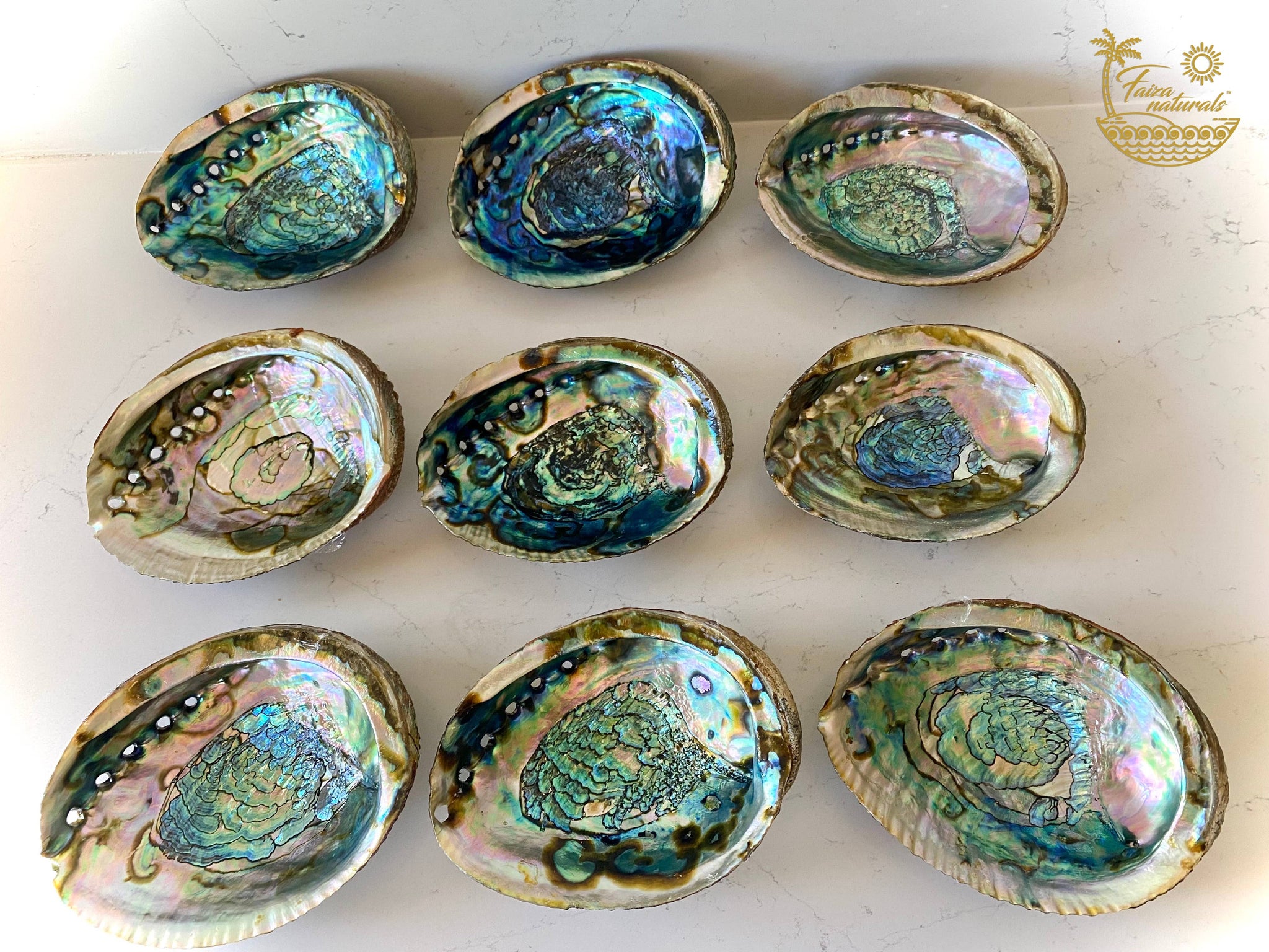 Abalone Shell Smudge Bowls (Large)