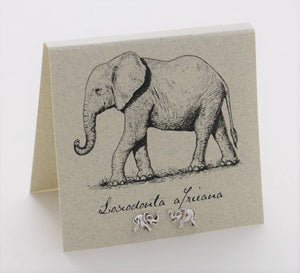 Elephant  Studs sterling silver  Natural History
