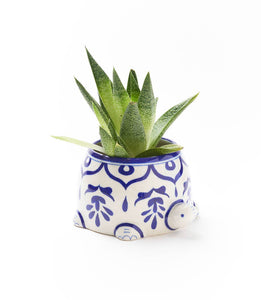 Lalita Mama Turtle Succulent Planter - Hand Painted