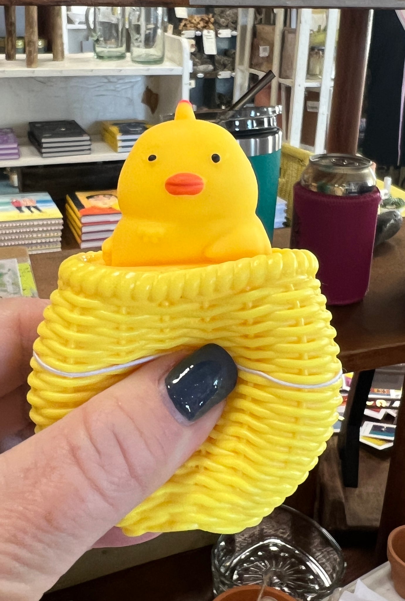 Peeking Chick Squeeze Toy