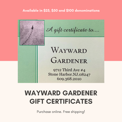 Wayward Gardener Gift Certificate