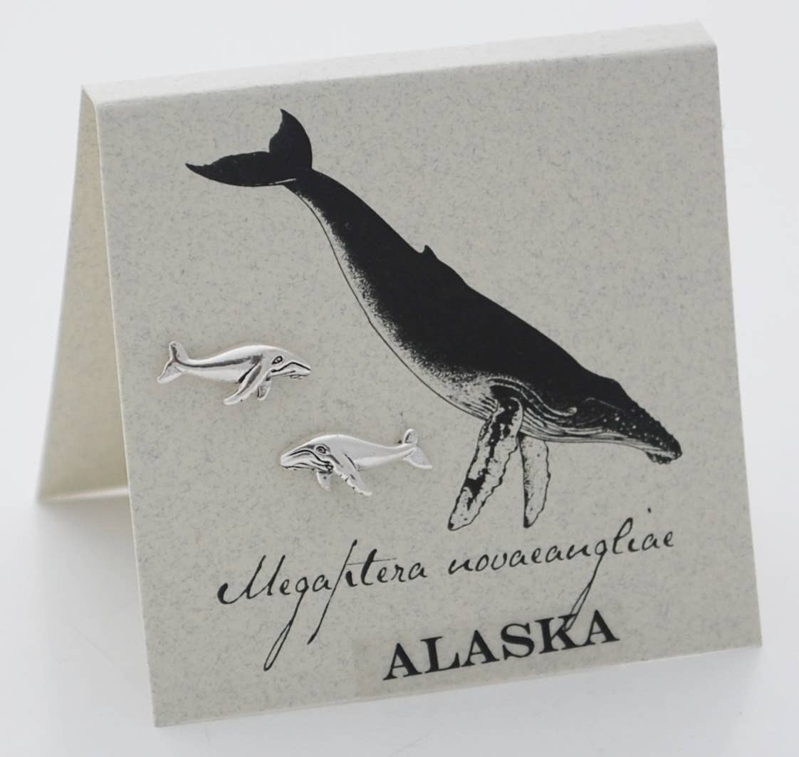 Whale  Stud Earrings  - silver  Natural History