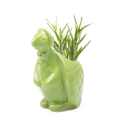 Turtle Indoor Plant Pot: Green