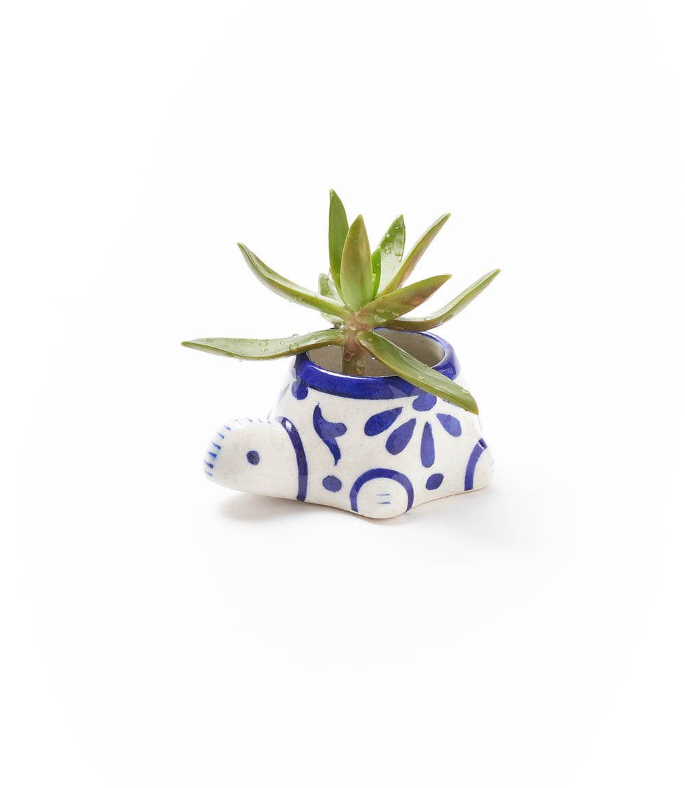 Lalita Baby Turtle Succulent Planter - Hand Painted